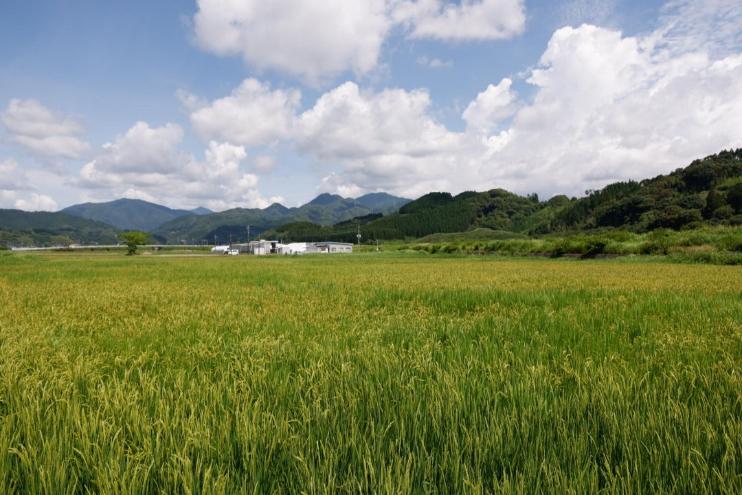 純米酢